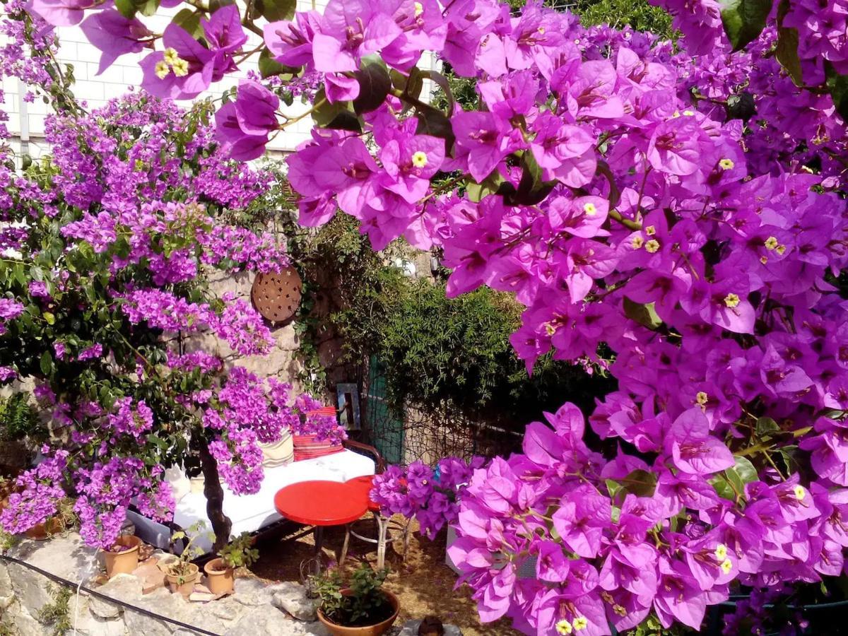 Nonina - Relax And Let Go Apartment Dubrovnik Exterior foto